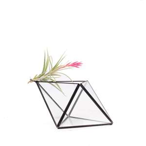 Weddings Parties Home Hotel Or Coffee Shop Decor Accessories Glass Modern Style Terrarium Glass Or Metal Frame Decor Terrarium - Product Image 4