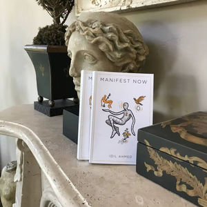 Manifest Now (broché) Libérez le pouvoir de la pensée positive et transformez votre vie instantanément (approvisionnement en gros) - Product Image 1