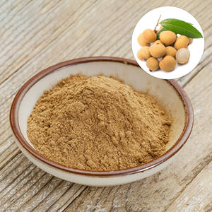 Poudre de longane pure naturelle en gros poudre de fruit de longane tropical produite par un fabricant de confiance - Product Image 1