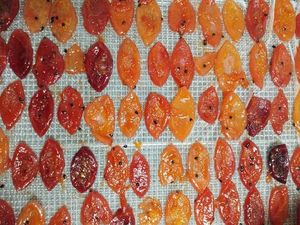 Sabrosa fruta de la Pasión seca vietnamita en embalaje listo para exportación - Product Image 3