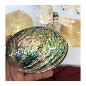 Coquilles d'ormeau adaptées aux porte-savons faits à la main Les coquilles d'ormeau font des accents décoratifs naturels - Product Image 6