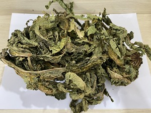 Natural Vietnam Dried Papaya Leaves Carica Papaya Bulk Tea <b>Material</b> Direct Factory Custom <b>Packaging</b> - Product Image 3