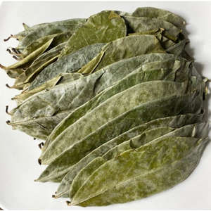 FEUILLES DE SOURSOP SÉCHÉES ENTIÈRES | Fabriquées à l'état sauvage et séchées à l'air | Feuilles de corossol biologique | Annona Muricata - Product Image 3