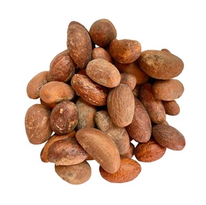 Garcinia kola sain bon marché (kola amer) - Product Image 5