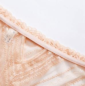 Culottes en soie brodées de couleur unie, culottes en dentelle sexy pour femmes - Product Image 5