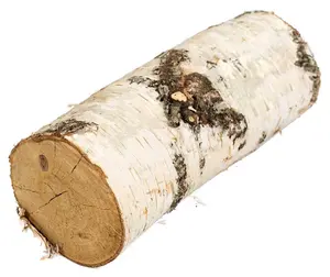 RUSSIAN Wood round logs / BIRCH, birch round logs from Russia