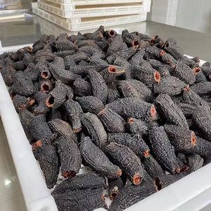 Gros produits de concombre de mer séché gris naturel d'excellente qualité à prix de gros - Product Image 1