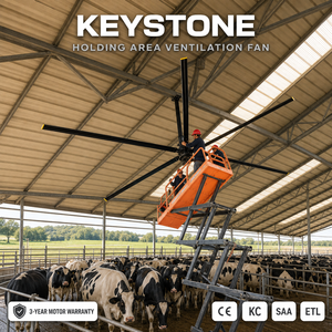 Ventilador de Techo HVLS Grande para Circulación de Aire en Establos, Reduce el Estrés por Calor en Vacas Lecheras en el Área de Recogida de Leche - Product Image 1