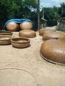 Barco de Pesca Redondo Vietnamita en Oferta/ Barco Coracle de Bambú para Pesca, Viajes y Remo - Product Image 2