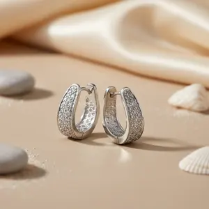 Boucles d'oreilles créoles délicates pour femmes en argent avec zircone cubique, bijoux en cristal - Product Image 1