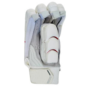 Guantes de Bateo de Críquet Personalizados Hechos en Fábrica Sibrin |   Cuero de Calidad Profesional, Duradero, Transpirable y Personalizable para Marcas, Clubes y Tiendas - Product Image 4