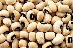 Haricots noirs séchés de haute qualité pour tous vos besoins en cuisine et préparation alimentaire, en vente - Product Image 6