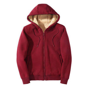 Sweat-shirt décontracté pour homme, nouvelle mode sportive masculine, hiver, à capuche, manches longues, fermeture éclair, respirant, 100% polyester, couleur unie - Product Image 2