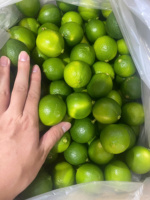 Citron vietnamien de haute qualité, sans pépins, frais, mûr, nouvelle récolte, 6 cm, 0,1 kg