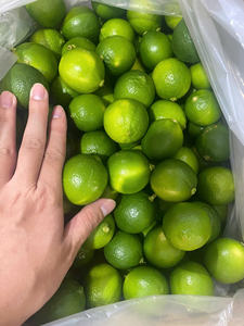 Haute qualité VIOT vietnamien citron vert sans pépins frais mature nouvelle culture 6cm 0.1kg - Product Image 6