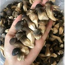 SETA DE TERMITAS SEDA A BASE DE PLANTAS ALIMENTO ENTERO ETIQUETA LIMPIA MEJORA INMUNE - Product Image 5