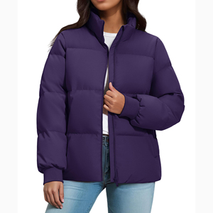 Veste d'hiver pour femme, nouvelle veste matelassée de haute qualité, service OEM, lumière extérieure, chaude, nouvelle, meilleure, manches longues, grande taille, veste d'extérieur - Product Image 5