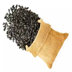 Noccioli/noci di semi di girasole di alta qualità disponibili per la vendita a basso prezzo