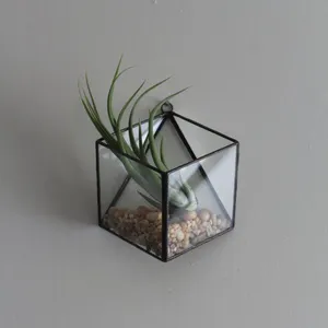 Moderno terrario per piante da interno contenitore geometrico nero fioriera per terrario in vetro da appendere a parete per piante ad aria e decorazioni per la casa