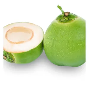 FRESH YOUNG GREEN COCONUT - Coconut For Drinking Selected Grade From Vietnam Manufacture Price