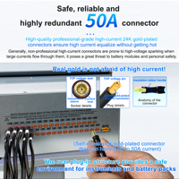 Balanceador de Baterías Heltec 24S 15A para LiFePO4/Li-ion - Restaura la Autonomía de la Batería del Vehículo Eléctrico y Corrige la Desigualdad de Voltaje