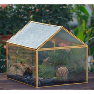 Terrario de vidrio transparente de diseño impresionante para mesa suculenta hogar y oficina decorar planta decorar en acabado negro - Product Image 6
