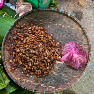 BUGS HUELO DESHIDRATADO A GRANEL | PARA ALIMENTOS AVES Y ACUICULTURA - Product Image 5