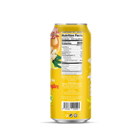 Jugo de Frutas Tropicales 100% con Miel y Jengibre con Pulpa, Fabricante de Bebidas de Marca Privada OEM ODM