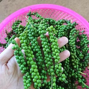 Solución de Pimiento Verde Liofilizado de Marca Privada para Minoristas y Distribuidores - Product Image 4