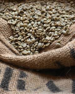 Café Robusta de qualité supérieure, grains de qualité 1, tamis 16 et 18, matière première de la nouvelle saison, prix avantageux, provenant de l'usine Agrikim au Vietnam - Product Image 4