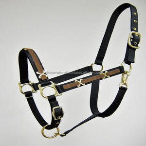 Équipement pour chevaux produits pour chevaux équestres Sangle en nylon de qualité supérieure fantaisie décorative licol en nylon pour chevaux en plusieurs couleurs et taille personnalisée - Product Image 4