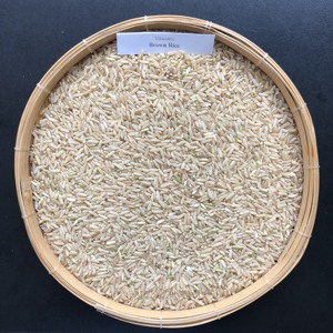 ข้าวหอมมะลิสีน้ำตาลเพื่อสุขภาพจากเวียดนาม ms.ellen - Product Image 3