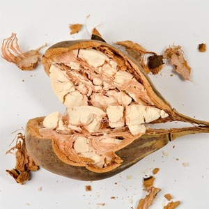 Fruta de Baobab de Calidad de Exportación, Superalimento Natural, Ingrediente Premium para la Industria de Bebidas, Productos para la Salud y Comercio Global - Product Image 5