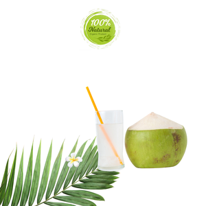 ประโยชน์ในการล้างพิษของมะพร้าวสดเวียดนาม - Product Image 3