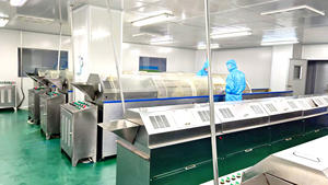 KING MAKER Complément de Santé 13-en-1 pour Hommes 120 Gélules pour Augmenter l'Endurance la Croissance Musculaire Sèche et la Récupération pour Adultes - Product Image 6