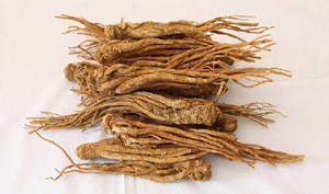 ตงไคว สมุนไพรดั้งเดิมสำหรับผู้ส่งออกธรรมชาติ // คุณโซฟี - Product Image 4