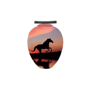 Urna de cremación de latón de calidad superior, suministros funerarios conmemorativos para adultos con acabado de impresión para cenizas de mascotas también - Product Image 2