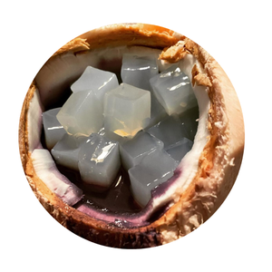 Nata De Coco comprimida seca-Jalea de coco comprimida/Nata Coco con jarabe/Sra. Thi - Product Image 1