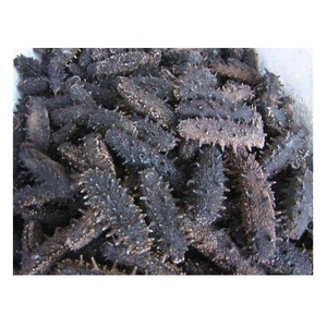 โรงงานและผู้จัดจำหน่ายปลิงทะเลแห้งขายส่ง - Product Image 3