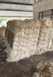 เส้นใยไซซอลเกรด UG แท้ 100% ทนไฟ ลายดิบ สำหรับปั่นเส้นใย วัสดุเติมคอนกรีต - Product Image 5