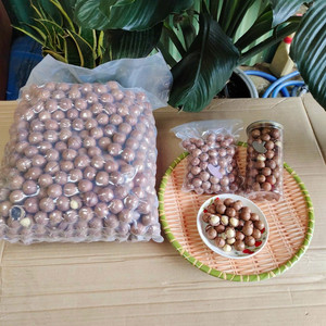 Noix de macadamia fraîches vietnamiennes en vrac, qualité A, brutes, emballées sous vide, marque VIET DELTA - Product Image 6