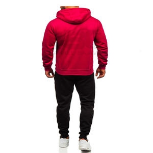 2023 unisexe Nylon survêtement haut Design vêtements de sport à capuche et costume léger coton survêtement pour hommes hiver en vrac en gros - Product Image 4