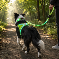Ensemble de harnais, collier et laisse pour chien Qcool, ajustable, durable, trois pièces, couleurs personnalisées, fournisseur mondial, LED