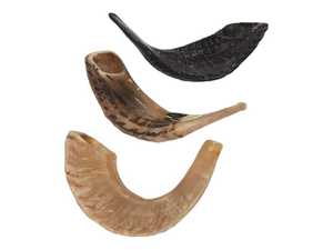 Chất lượng cao Kosher shofar kudu đánh bóng RAM sừng <span class=keywords><strong>Rosh</strong></span> <span class=keywords><strong>hashanah</strong></span> thổi hàng thủ công tự nhiên - Product Image 3