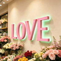 Lettres en acrylique 3D personnalisées Boyang avec bande LED rétroéclairée, enseigne LOVE, décoration de boutique de fleurs, décoration de maison, publicité, logo mural éclairé