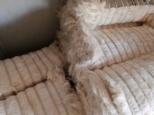 Fibres de sisal naturelles brutes, brins de fibres écologiques pour le filage, le rembourrage et les tissus non tissés - Product Image 2