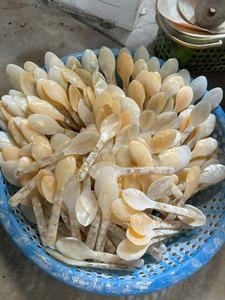 Cuillère à nacre polie exquise personnalisée Cuillères de service en caviar de coquillage naturel - Product Image 4