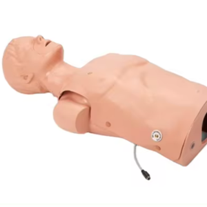 Mannequin de formation en RCP en silicone POYTON MEDVISION POYTON pour l'enseignement des sciences médicales - Product Image 1