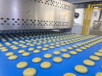 Machine de fabrication de biscuits automatique fiable et rapide pour la production de biscuits, machine à biscuits tricolores, équipement de boulangerie