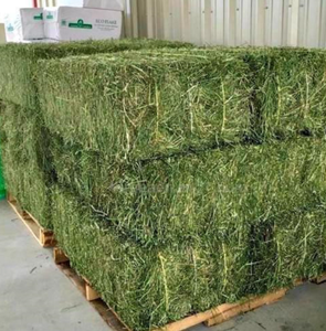 Heno de alfalfa de grado superior de alta calidad para bolsa a granel de alimento para perros y peces con envío rápido - Product Image 6